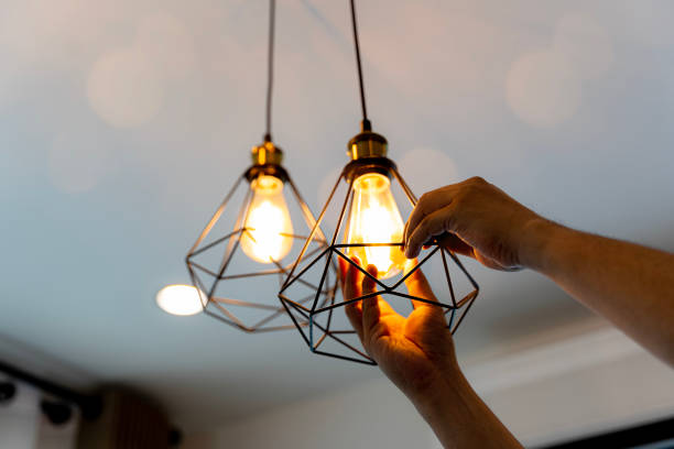 Best Ceiling Fan Installation Electrician  in Holly Hill, SC