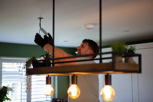 Best Electric Panel Repair  in Holly Hill, SC